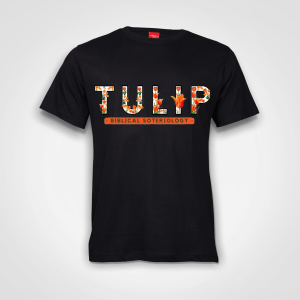 TULIP